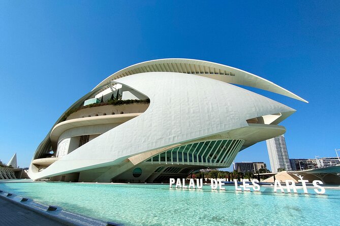 City of Arts and Sciences Bike Tour - Architectural Marvels at the City of Arts and Sciences