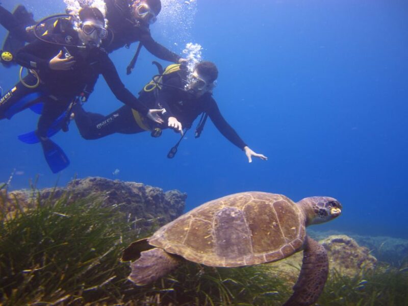 City of Side: Underwater Museum Scuba Diving Visit - The Sum Up: Unique Underwater Exploration Near Side