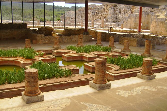 City of Students - Coimbra Private Tour from Lisbon - Starting the Day: Convenient Pickup and Private Transport