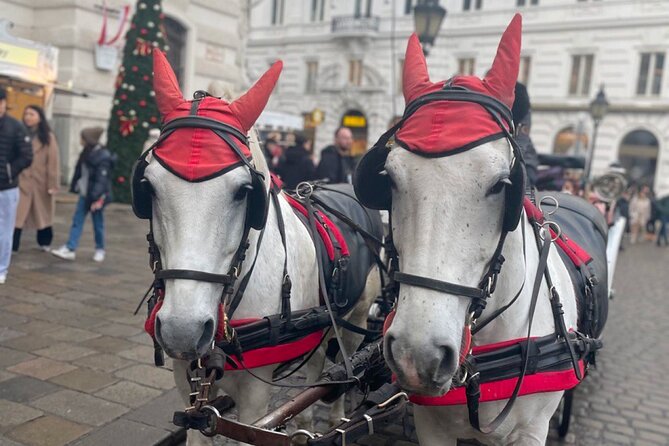 CITY QUEST VIENNA: uncover the secrets of this city! - Practical Details: Group Size, Accessibility, and Convenience