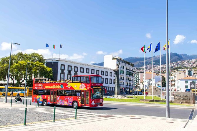 City Sightseeing Funchal Hop-On Hop-Off Bus Tour - Starting Point and Main Stops in Funchal