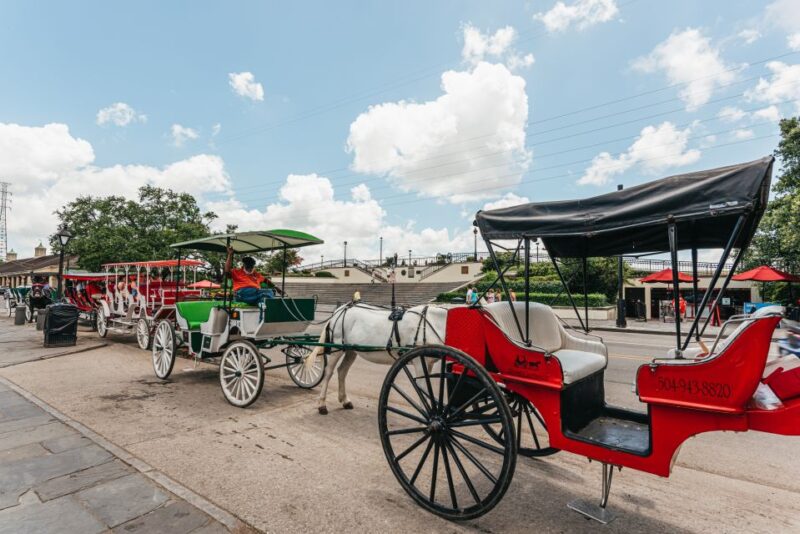 City Sightseeing New Orleans HOHO Bus Tour & Bookable Extras - Comparing the 1, 2, and 3-Day Pass Options