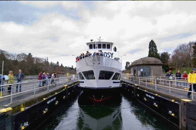 City Sightseeing Seattle HOHO Bus and Locks or Harbour Cruise - The Scenic and Cultural Highlights of the Locks Cruise