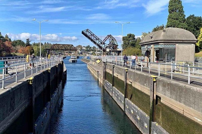 City Sightseeing Seattle HOHO Bus and Locks or Harbour Cruise - Final Thoughts on the City Sightseeing Seattle Experience
