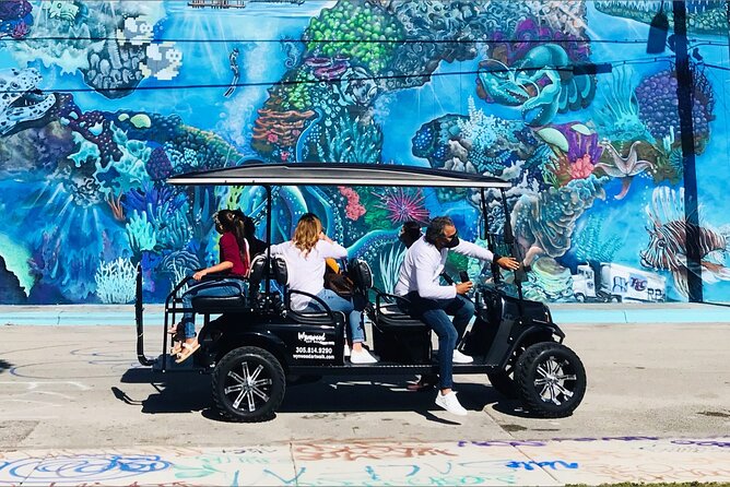 City Tour: Miami, Wynwood, and Little Habana + Cruise Tour - The Experience of ParaViajantes Tours Guides