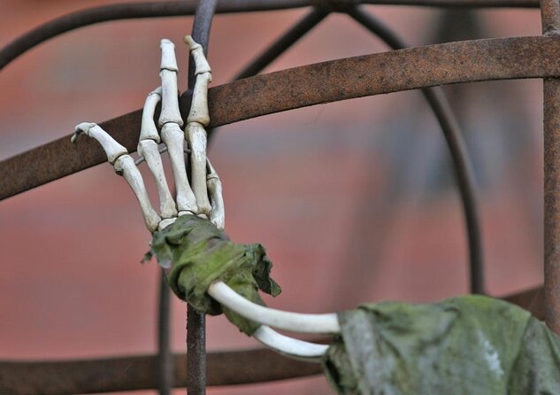 City tour of Hamburg in a double-decker bus Hopp on / Hopp off day ticket - Explore Hamburg with a Convenient Double-Decker Bus Tour at $24.81