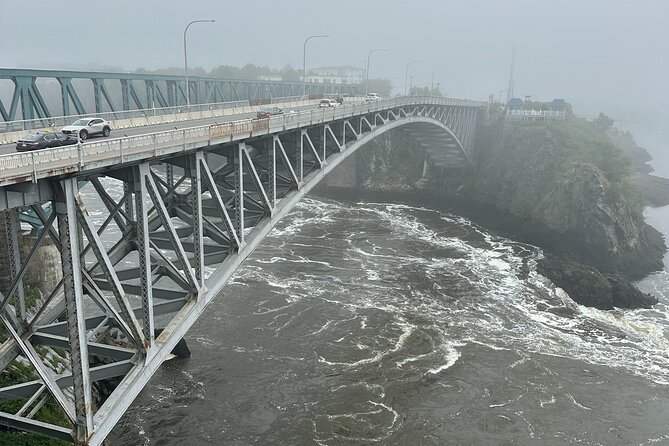 City Tour Of Saint John - Sample Local Flavors at Saint John City Market