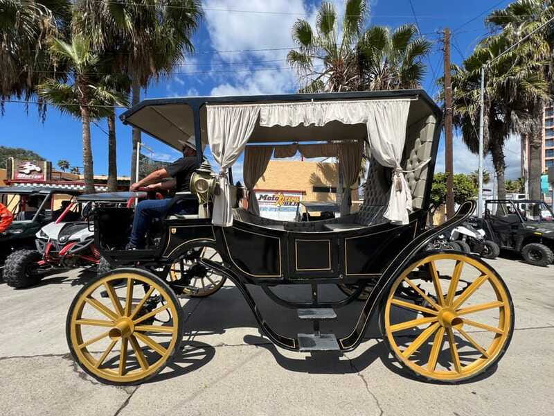 City tour on electric horse wagon. - Limitations and Considerations