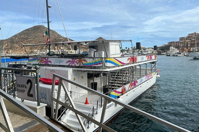 City Tour, Tequila tasting, Sunset Cruise & Dinner in Cabo San Lucas - Evening Return and Night Views