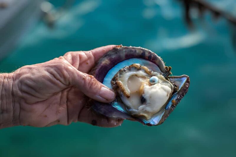 City Tour to Cabo San Lucas and Transparent boat to the Arch - Explore the Heart of Cabo San Lucas for $61