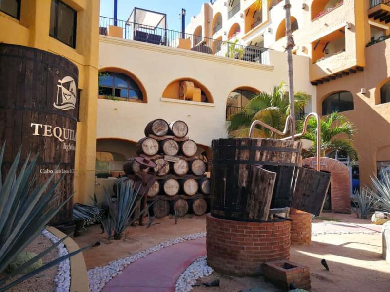 City Tour to Cabo San Lucas and Transparent boat to the Arch - Key Points