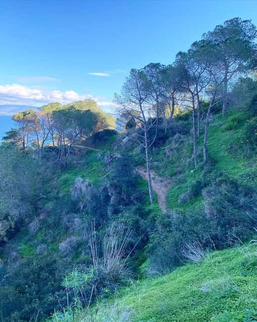 CITYBIKE/ easy Classic FOR 24 hours with Free delivery! - Key Points