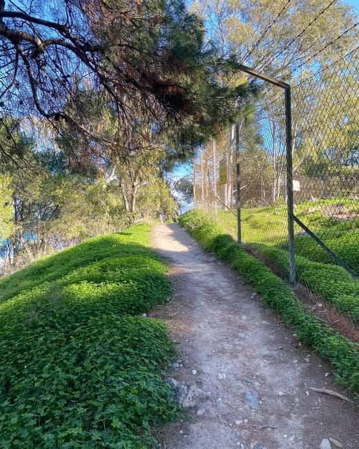 CITYBIKE/ easy Classic FOR 24 hours with Free delivery! - Discover Cagliari’s Main Attractions by Bike