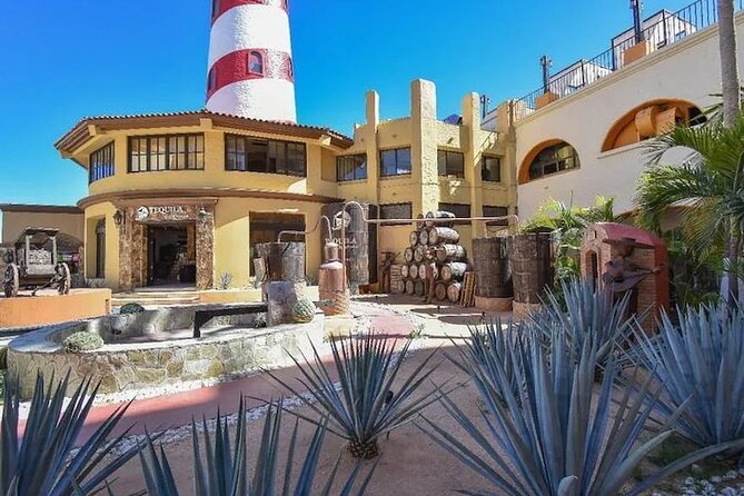 CityTour to San Jose, Cabo San Lucas and Arch Tour in Clearboat - Explore Cabo San Lucas and San José del Cabo in One Day
