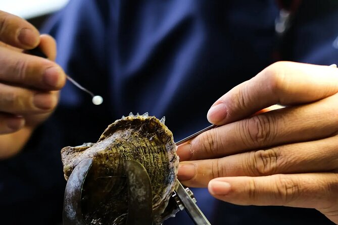 CityTour to San Jose, Cabo San Lucas and Arch Tour in Clearboat - Enjoy a Mexican Lunch at Stop Light Restaurant