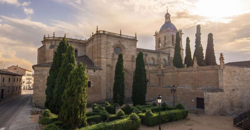 Ciudad Rodrigo: Cathedral of Santa Maria Entry Ticket - Exploring the Lateral Chapels and Fernando de Robles’s Sepulchre