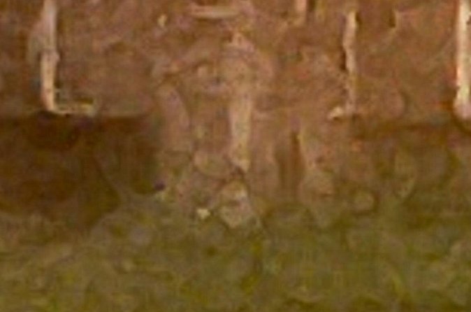 Civil War Ghosts Tour - Safety and Practical Tips for the Tour