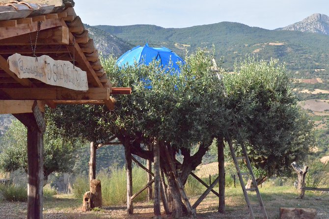 CIVITA EXPERIENCE Borgo Gole Mountain and ... RAPACI del Pollino - Visiting the Carnarium of the Griffons