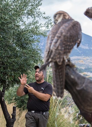 CIVITA EXPERIENCE Borgo Gole Mountain and ... RAPACI del Pollino - The Thrill of Bird of Prey Demonstrations
