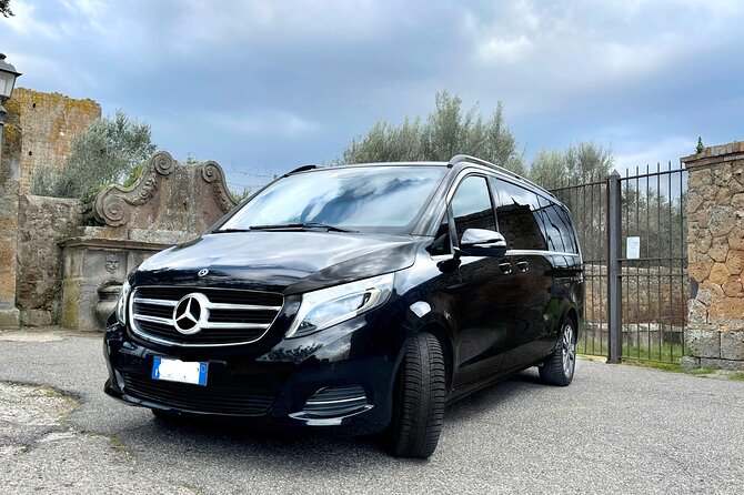 Civitavecchia Cruise Ship Port to Rome Hotel Private Transfer - The Experience with Professional Drivers