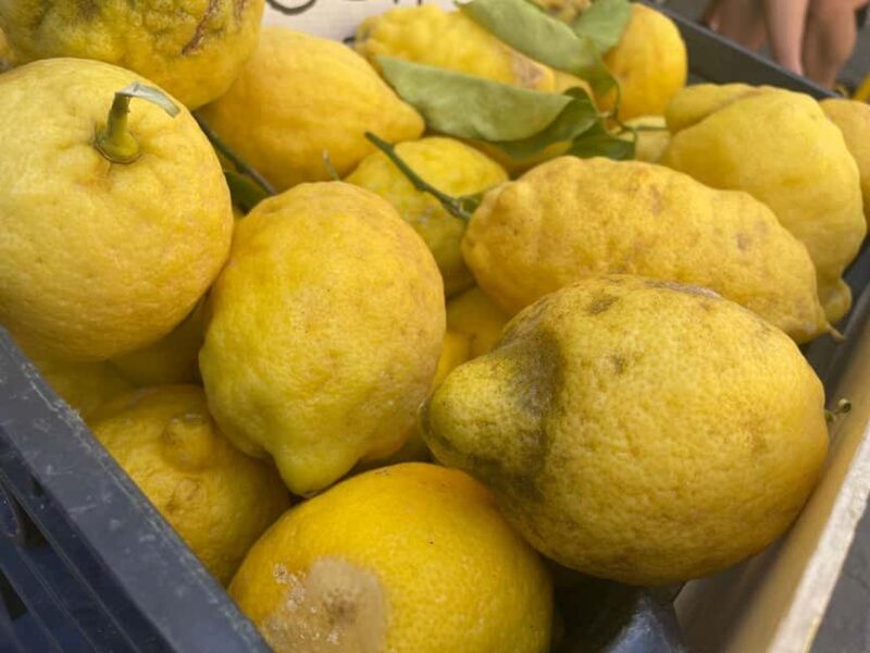 Civitavecchia: Historical and Culinary Walking Tour - What Sets This Tour Apart from Similar Offers