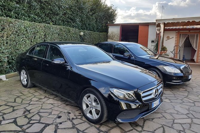 Civitavecchia Private Transfer: Rome to Civitavecchia Cruise Port - Flexibility and Cancellation Policy