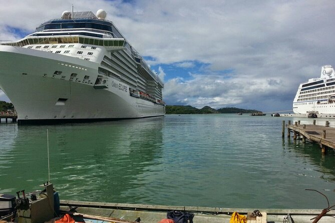 Civitavecchia Rome Private Transfer Back & Forth - Physical Requirements and Accessibility