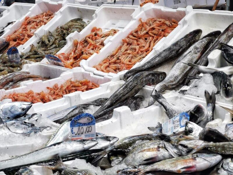 Civitavecchia: visit the city with Incitur! - Logistics and Practical Details