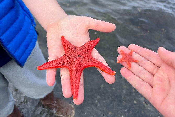 Clarke's Custom Island Tour (up to 11 guests) - Wildlife and Nature Encounters with Clarke