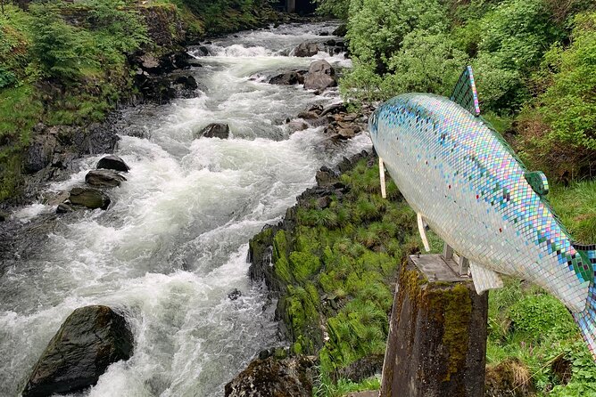 Clarke's Custom Island Tour (up to 11 guests) - Food, Drinks, and Refreshments