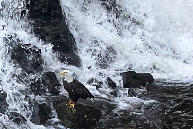 Clarke's Custom Island Tour (up to 11 guests) - The Physical Nature of the Tour