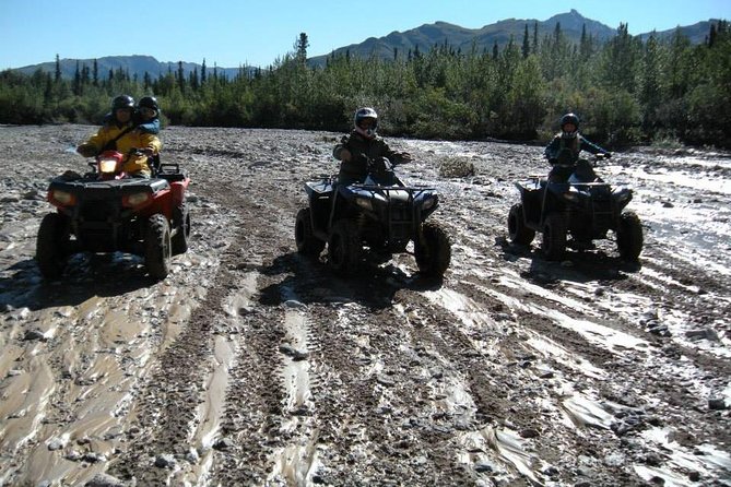 Classic ATV Adventure with Back Country Dining - The Scenic Views and Wildlife Encounters
