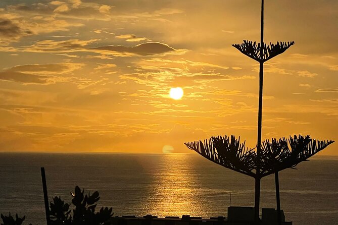 Classic car / Half day tour / Day tour / Private Tour Madeira - Classic Car Choice Offers a Nostalgic Ride