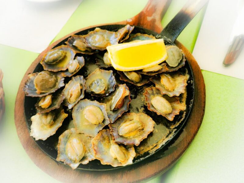 Classic Car Sightseeing Tour to the West & Northwest - Porto Moniz and the Lava Pools