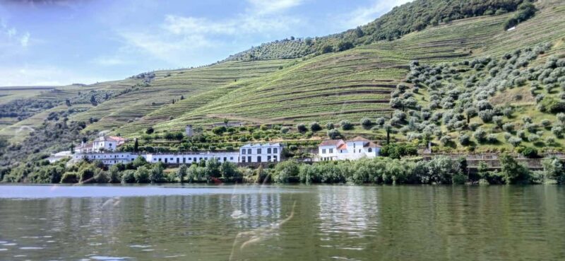 Classic Douro Tour: River, Train, Wine & Private Guide - Tasting Portuguese Flavors at a Riverside Restaurant in Tua