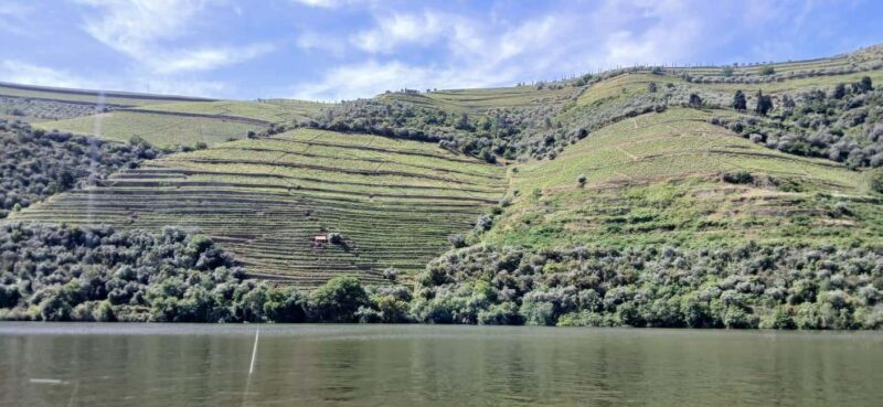 Classic Douro Tour: River, Train, Wine & Private Guide - Visiting a Traditional Wine Estate with Premium Tasting