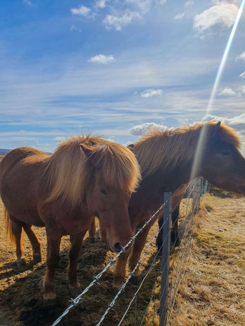 Classic Golden Circle - Full Day Private Tour from Reykjavik - How the Tour Balances Pacing and Flexibility