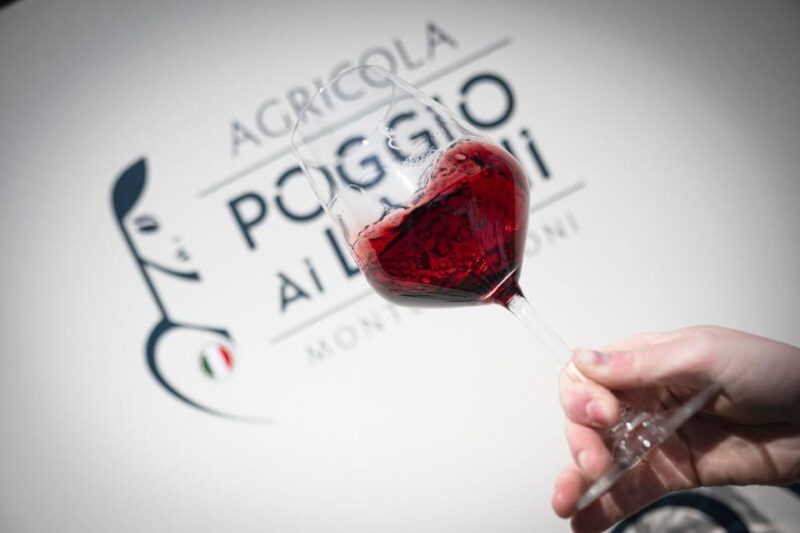 Classic: Lunch with Wine Tasting at Poggio ai Laghi Winery - Logistics and Accessibility