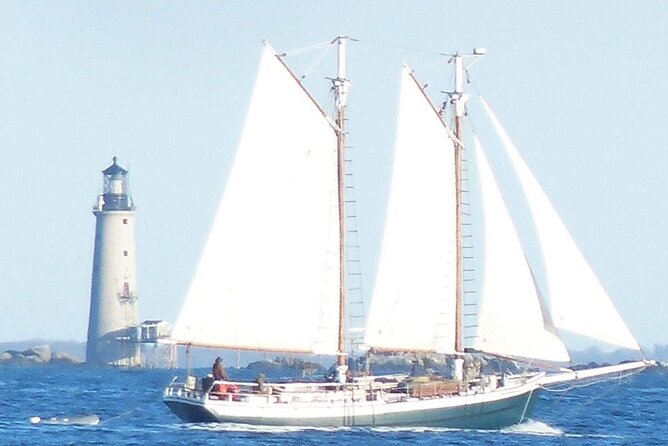 Classic Tall Ship Sightseeing Cruise of Boston Harbor - The Captain and Crew: Friendly and Knowledgeable