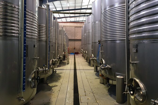 Classic Tasting | Quinta de Santa Cristina Vinho Verde - Scenic Views and Family-Friendly Atmosphere