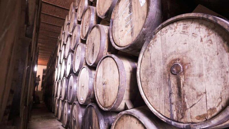 Classic Tequila Route Tour from Guadalajara and a few drinks at El Güero!!! - Exploring the Town of Tequila