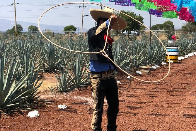 Classic Tequila Tour and CANTARITOS EL GÜERO - Marvel at the UNESCO-Listed Blue Agave Fields