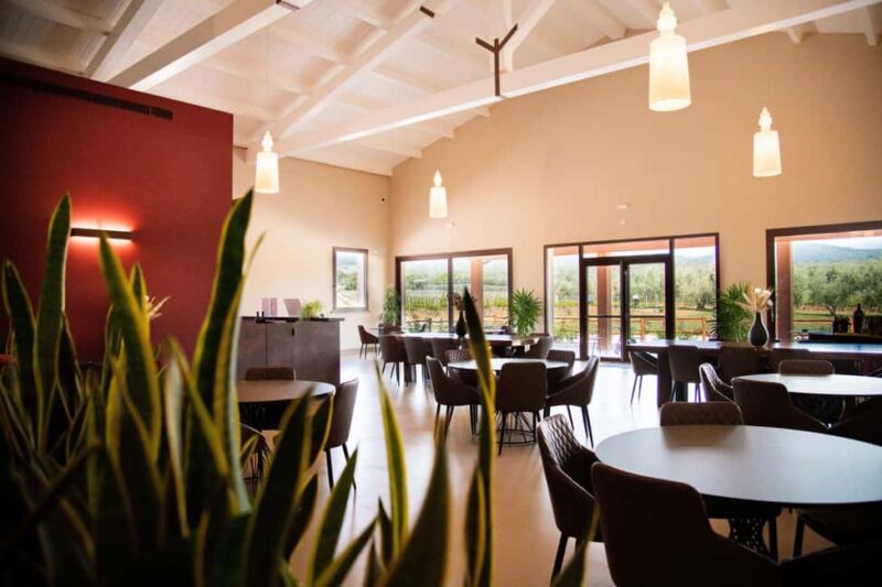 Classic Tour & Monovarietal Wines Tasting - Key Points