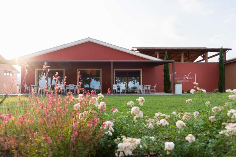 Classic Tour & Monovarietal Wines Tasting - Flexibility and Cancellation Policy