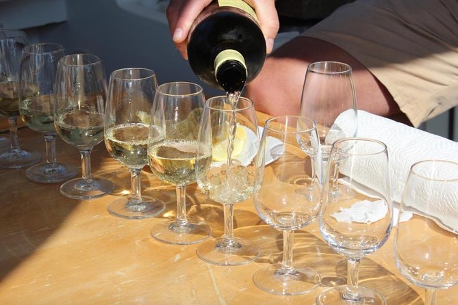 Classic Tour with Wine Tastings from Dubrovnik - Logistics and Practical Details