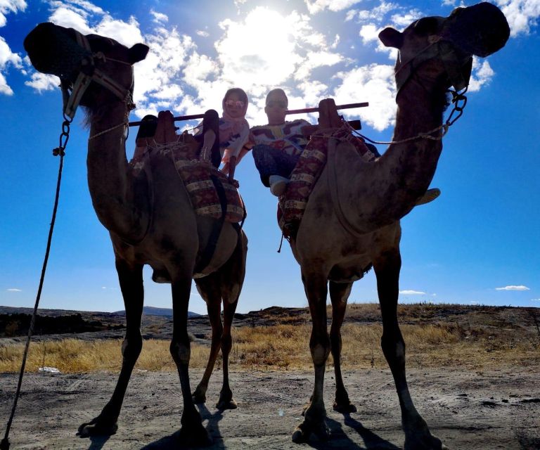 Classic (Vintage) Car & Jeep Safari & Shooting with Camels - Flexible Start Times and Tour Schedule
