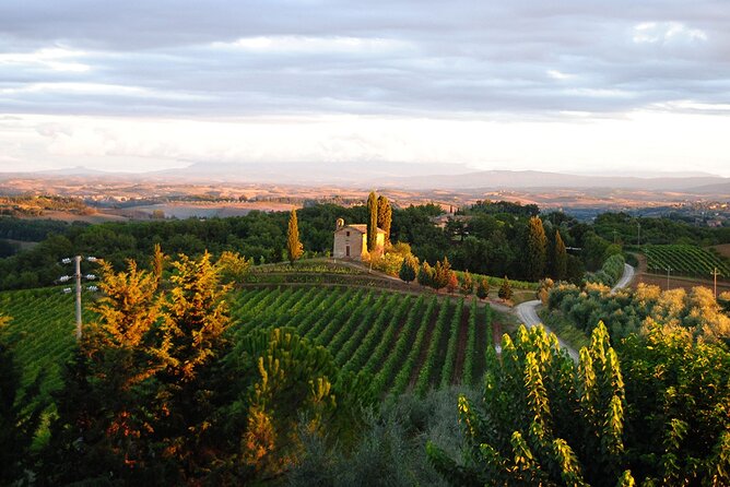 "CLASSIC" Wine Tasting and Typical Tuscan Products - The Spectacular Setting on the Panoramic Terrace
