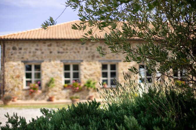 Classic Wine Tasting in Montalcino - The Unique Location of Corte Pavone in Montalcino