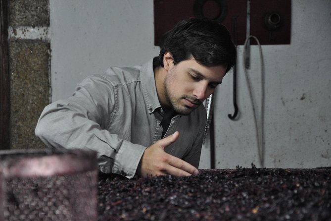 Classic Wine Tasting with GUIDED TOUR - Key Points