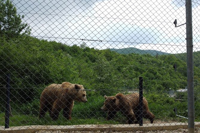 Classical Tour of Kosovo - The Quality of Guides and Guest Experience